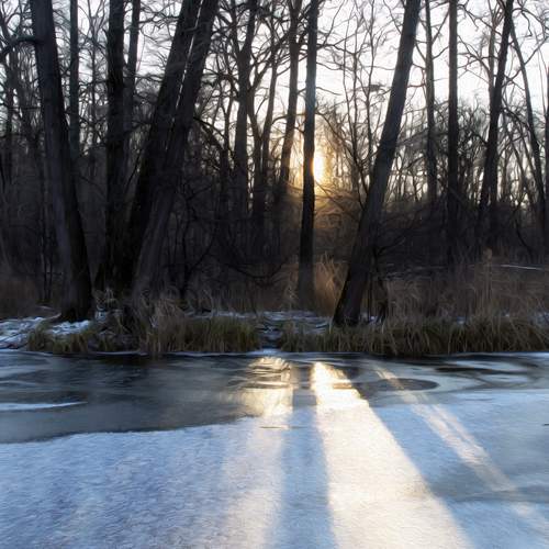Photo #13118369