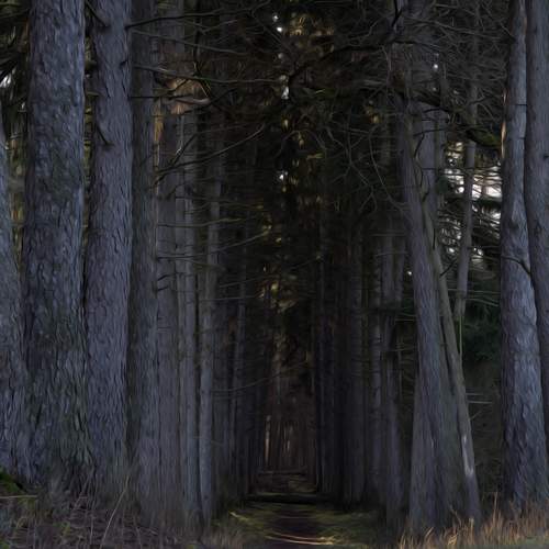 Photo #13118374