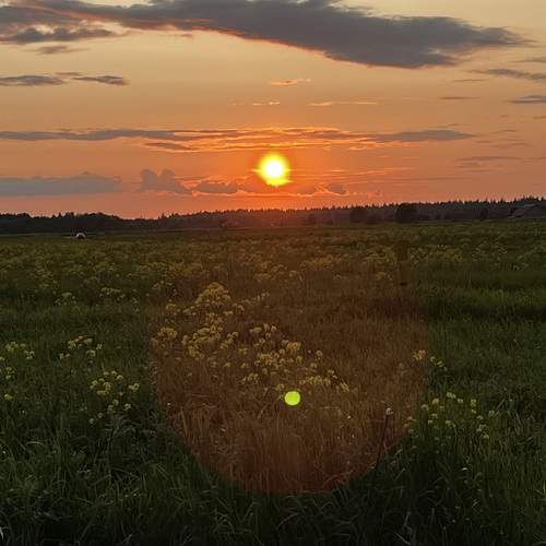 Photo #13118395