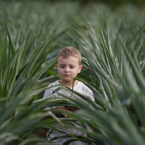 Photo #13118574