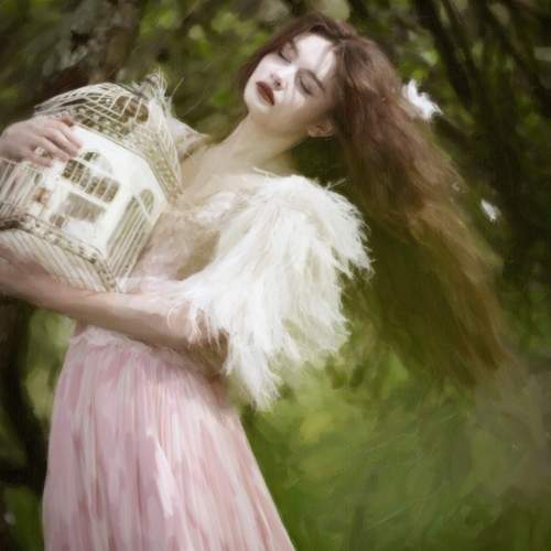 Photo #13118752