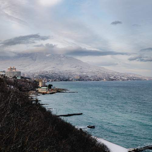 Photo #13118807