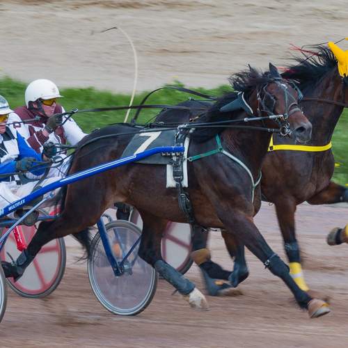 Фотография #13118881