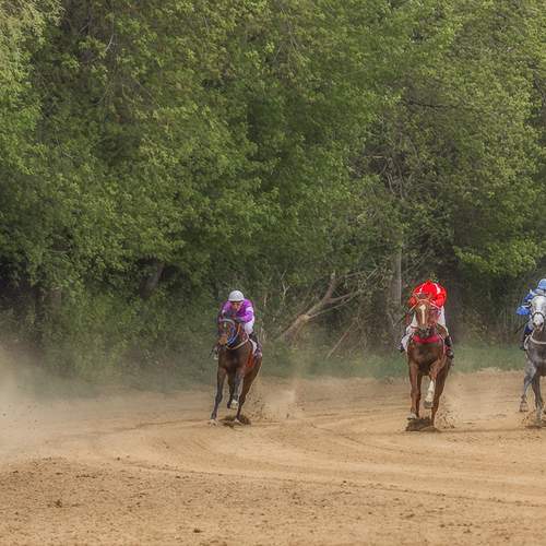 Фотография #13118903