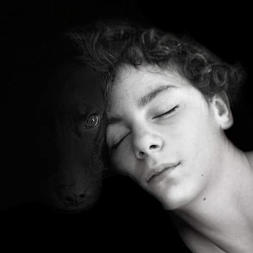 Photo #13118908