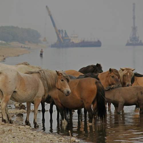 Фотография #13119116