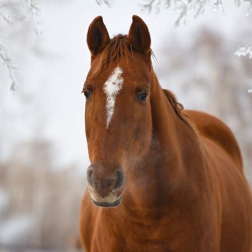 Фотография #13119176