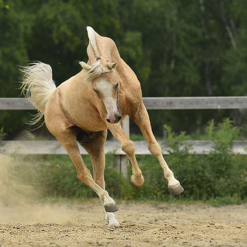 Фотография #13119193