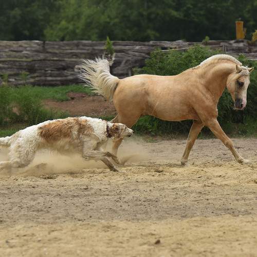 Фотография #13119194