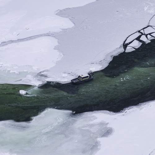 Photo #13119239