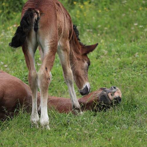 Photo #13119249