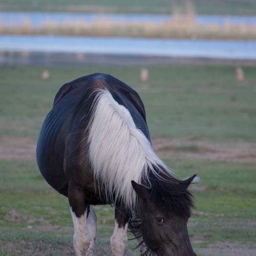 Фотография #13119388