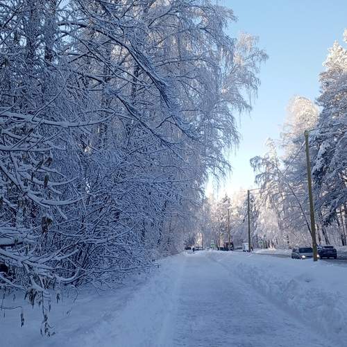 Photo #13119428