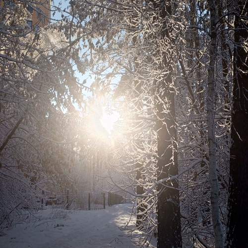 Photo #13119429