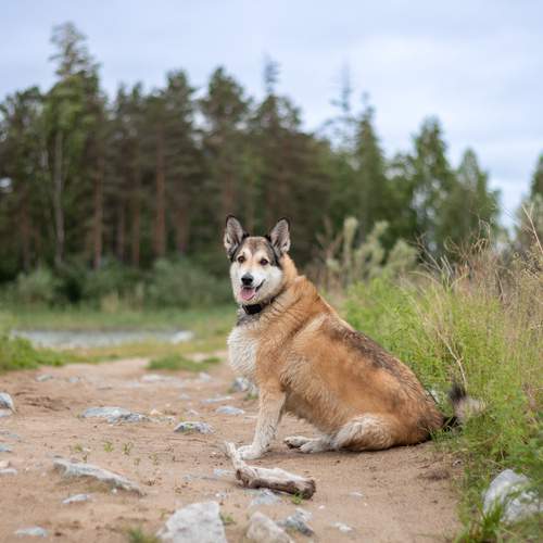Photo #13119477