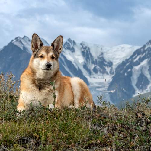 Photo #13119525