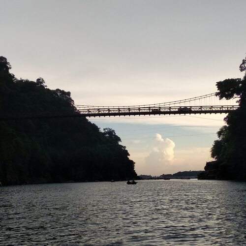Photo #13119555