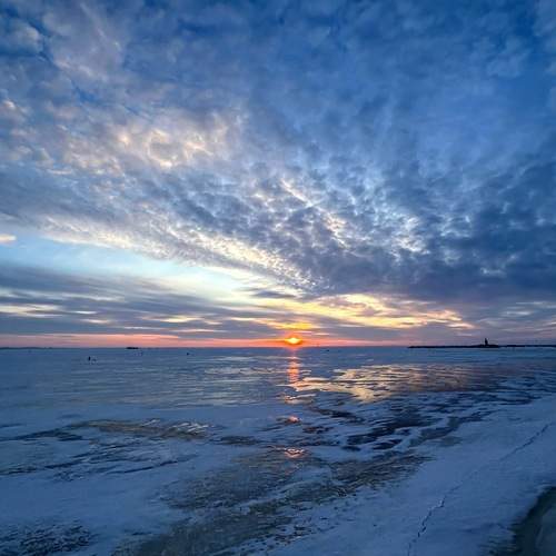 Photo #13119600