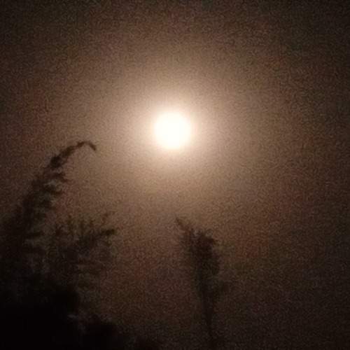 Photo #13119631