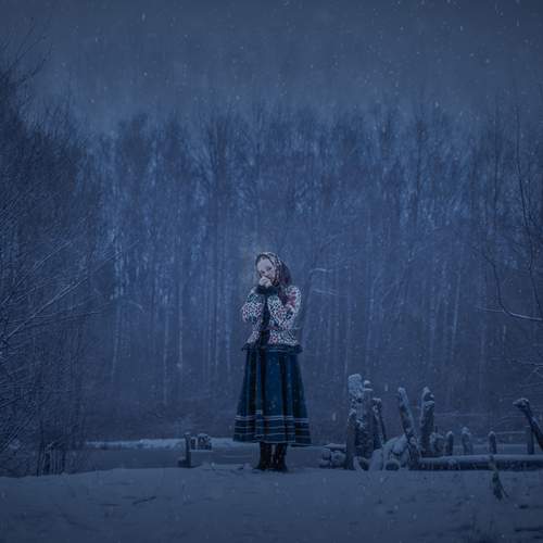 Photo #13119682