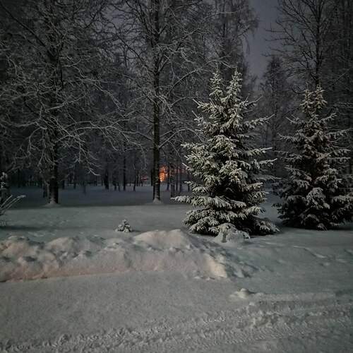 Photo #13119693