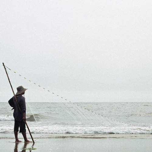 Photo #13119882