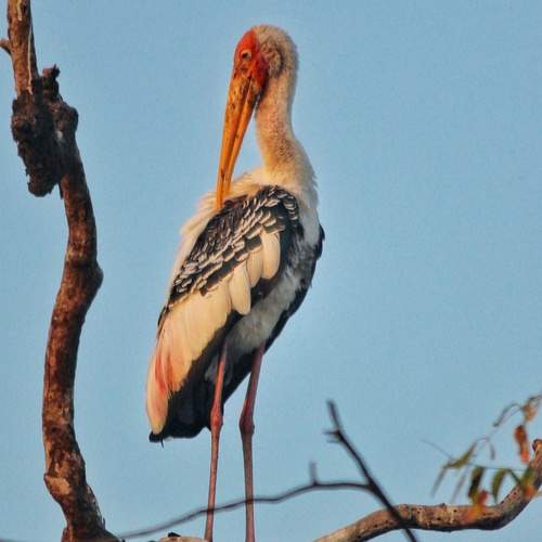Photo #13119956