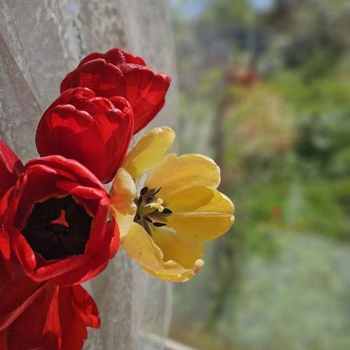 Photo #13120081