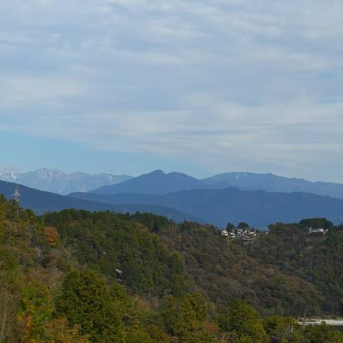 Photo #13120152