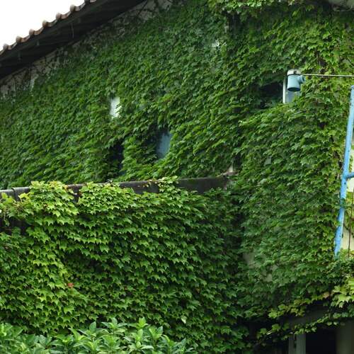 Photo #13120167