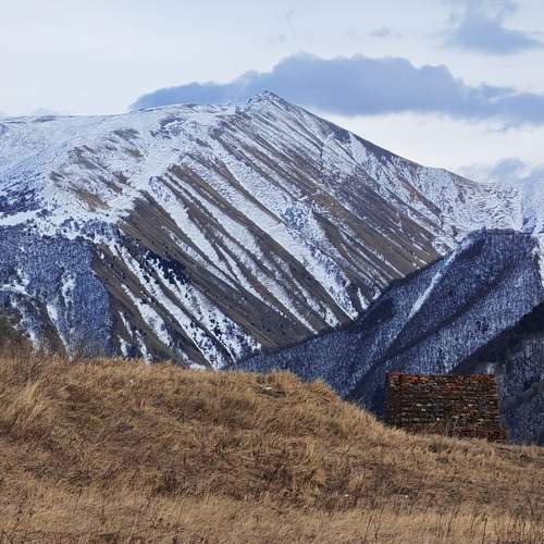 Photo #13120253