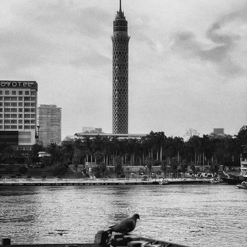 Photo #13120264