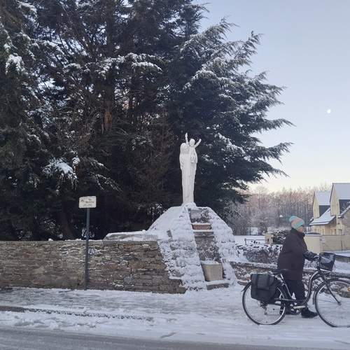 Photo #13120294