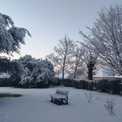 Photo #13120295