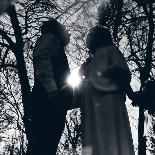 Photo #13120414