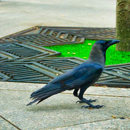 Photo #13120465