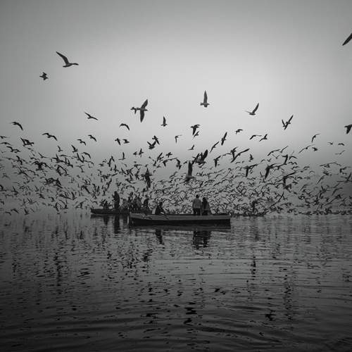 The Chaos