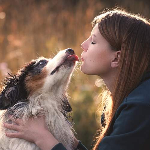 Фотография #13121077