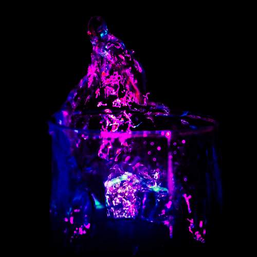 Photo #13121194
