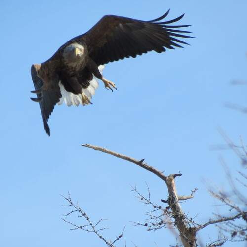 Photo #13121319