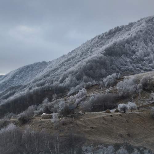 В серебре инея