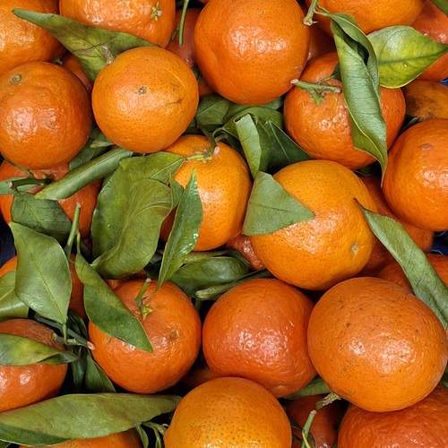 Tangerines