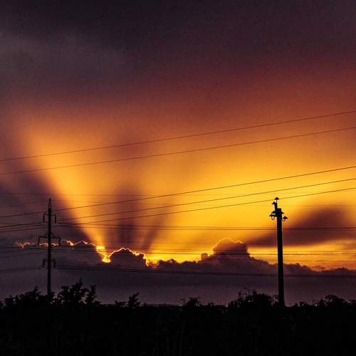 Photo #13121545