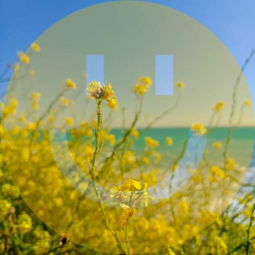 Photo #13121550
