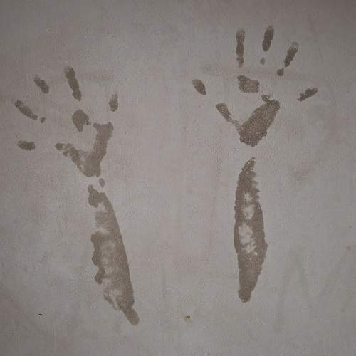 Photo #13121688