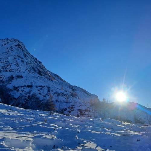 Photo #13121785