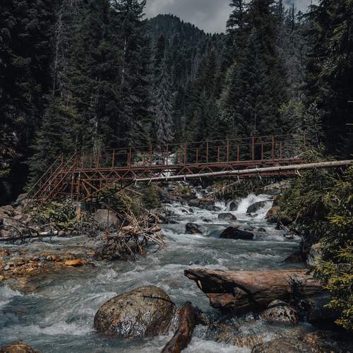 Photo #13121886