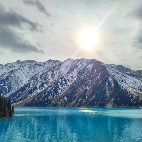 Photo #13121931