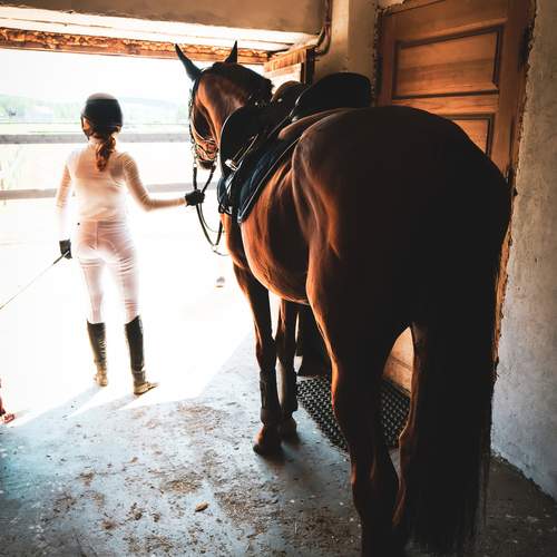 Photo #13122144