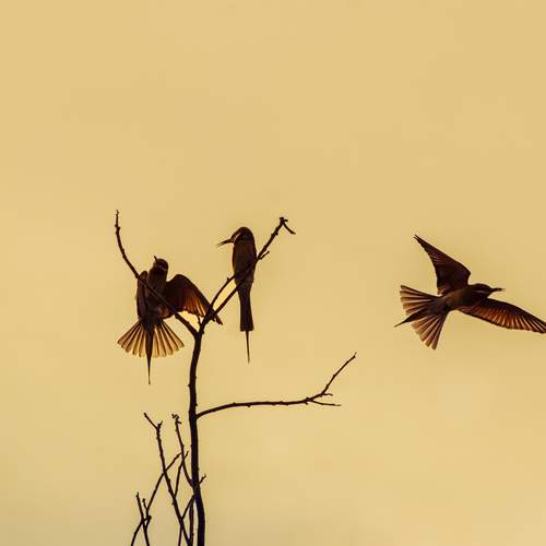 Perfect moment